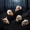 Acessórios para festas – Acessórios para Halloween