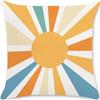 Morandi Color Abstract Pillowcase Minimalist Decorative Pillowcase Abstract Aesthetic Sofa Pillow Cushion Cover