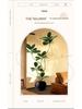 Luxury Indoor Black King Kong Artificial Green Plant - Large Potted Floor Ornament for Living Room Decoration