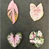 Green refrigerator stickers for home decoration. Interesting home decorations can give people small gifts