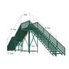 Outdoor Dog Agility Training Ladder