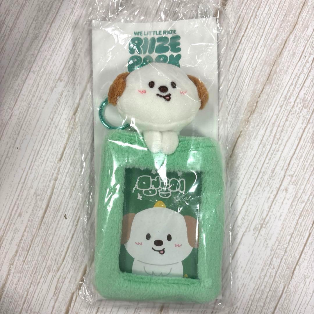 

[USED] Korea POPUP exclusive RIIZE Anton trading card case, genuine