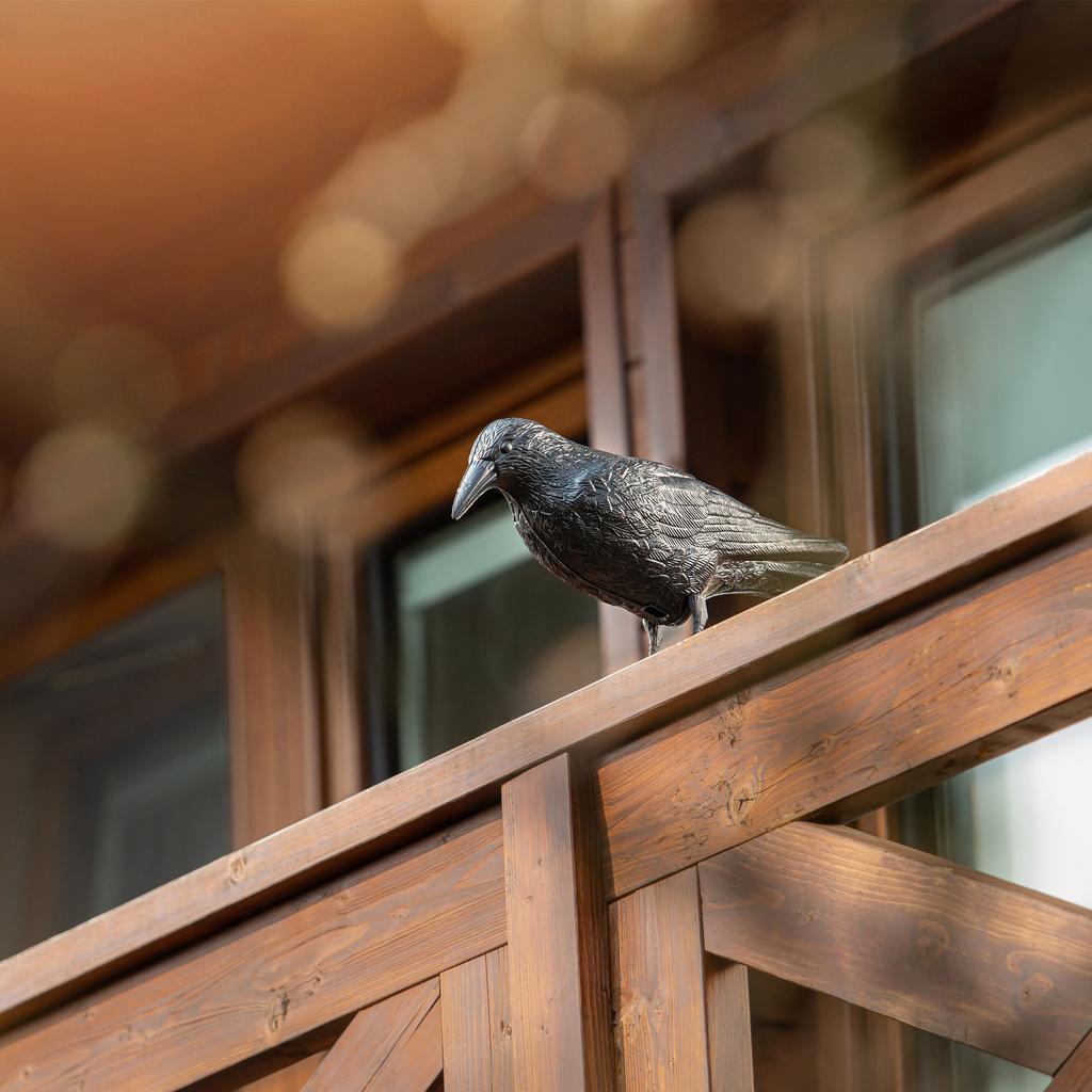 KADAX Kruk Odstraszacz Ptaków Gołębi szpaków Duży Na Balkon Ptaki XXL