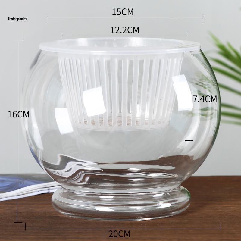 Modern Minimalist Hydroponic Glass Vase for Pothos & Green Plants - Living Room Desk Decor