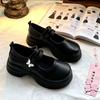 French Mary Jane Small Leather Shoes Women's Autumn New Platform Versatile Skirt British Style Round Head Single Shoes