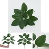 Goeppertia Makoyana Artificial Plant For Home Decor And Photography Prop