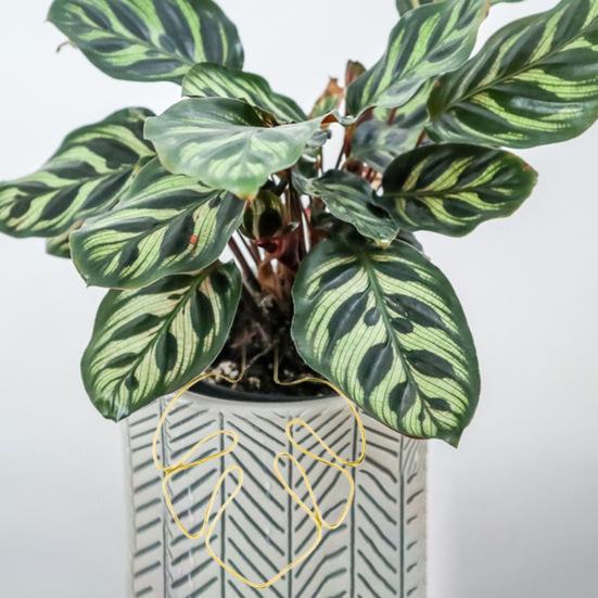 Stojan na rostliny ve tvaru monstery, odolný proti korozi, jednoduchá instalace, podpěra pro květináče, kůl ve tvaru květiny