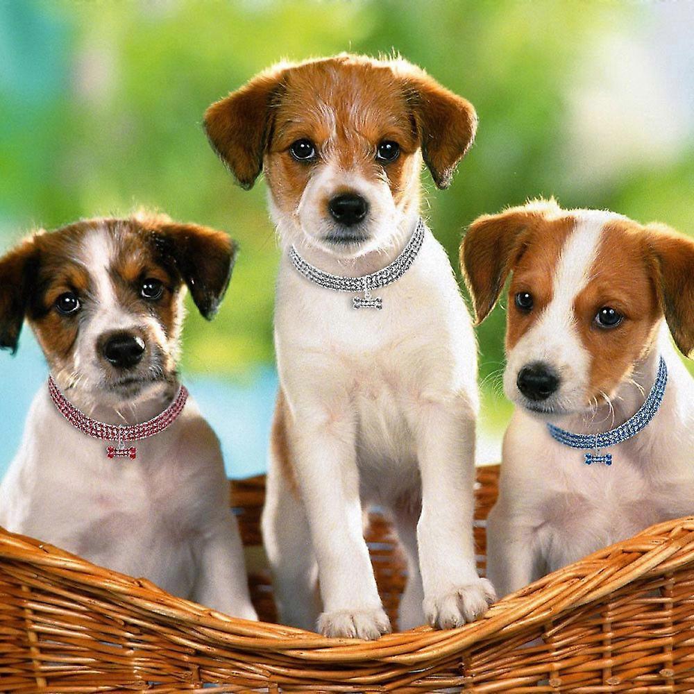 Animals & Pet Supplies > Pet Supplies > Pet Medical Collars