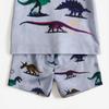 Toddler Boys Cool Multicolor Dinosaur Skeleton 2-Piece Outfit, Summer Gray Cartoon Clothes for Kids, Perfect for Playwear & Outdoor
