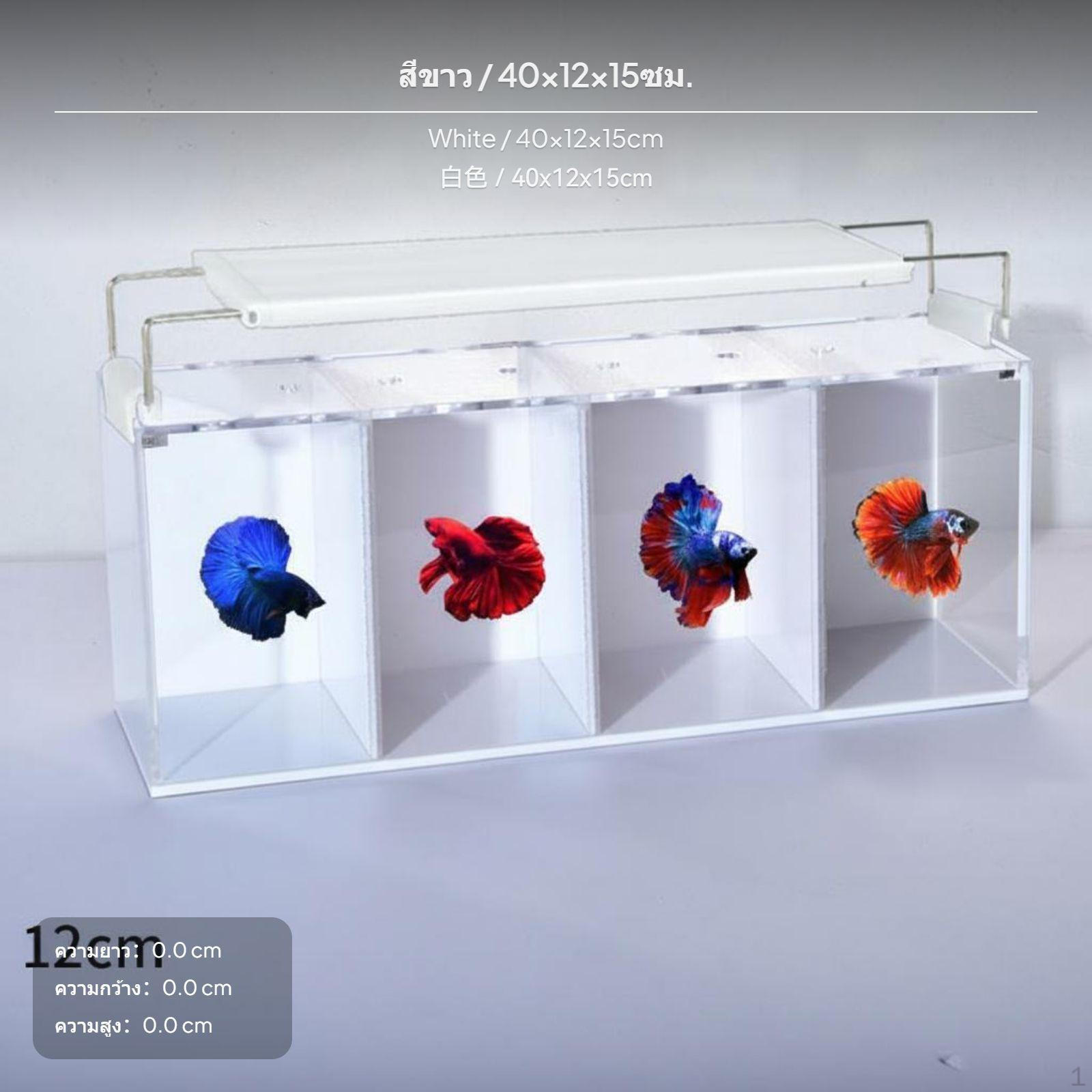 30cm Acrylic Betta Fish Tank, Desktop