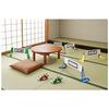Mario Kart Live Home Circuit Set