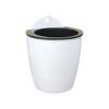 Hanging Self Watering Planter Flower Pot with Water Reservoir Wick Ropes