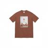 BOX Crew Neck Short Sleeve Shirt Brown S47