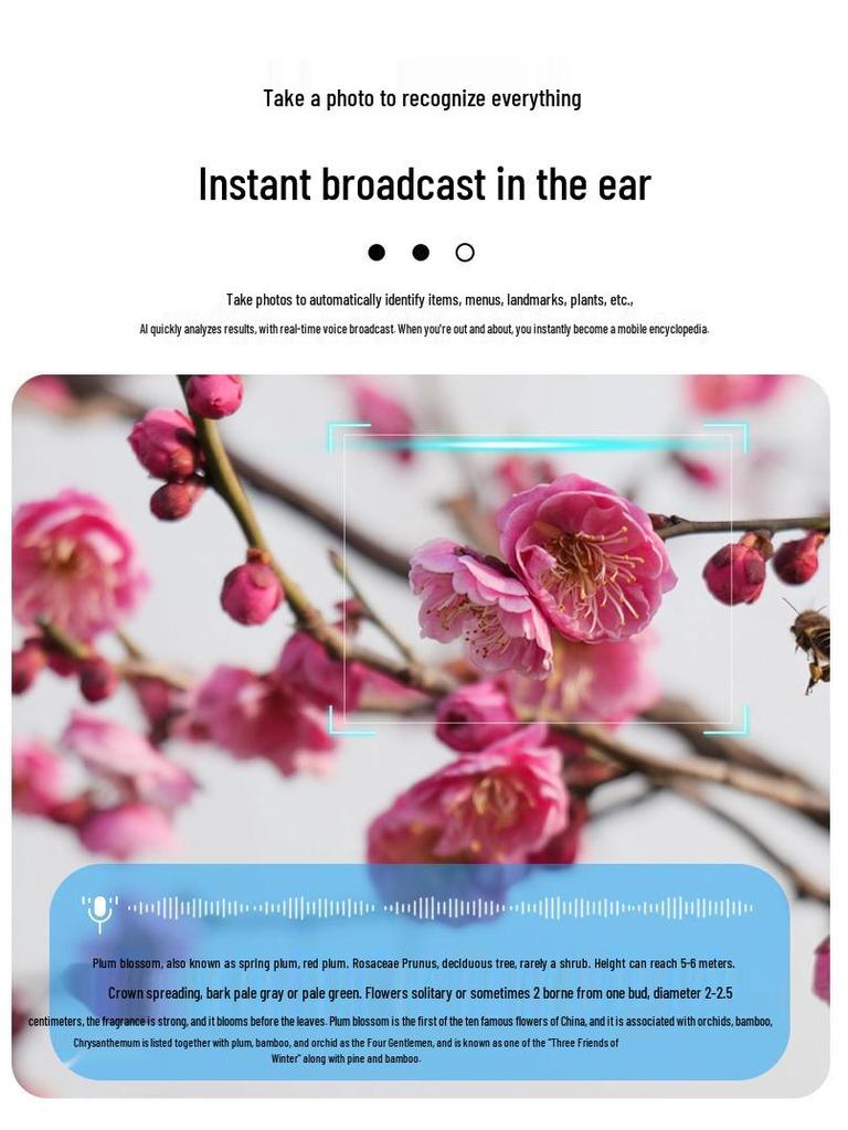 AI Smart Translation Glasses with 1200W Camera, Image Recognition, Recording & Replaceable Myopia Lens