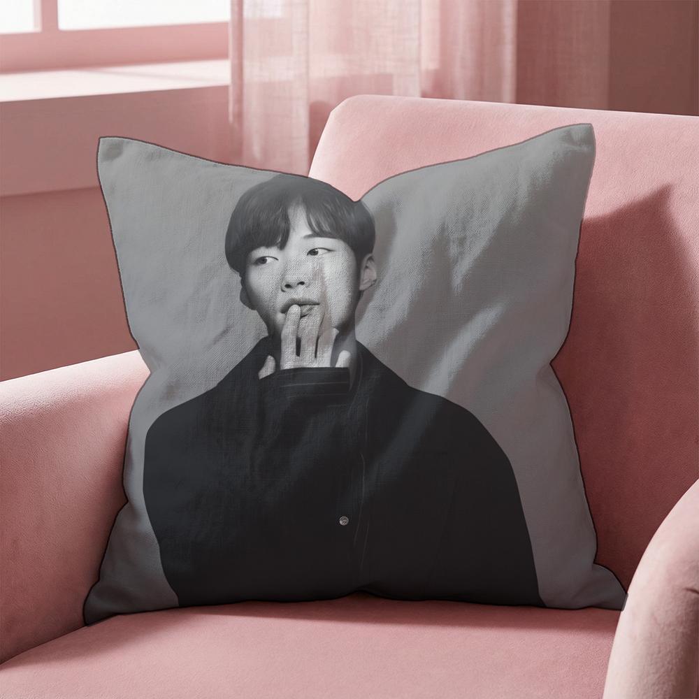 W-Woo Do H-Hwan Cushion Cover Multi-Scene Pillow Cover for Home & Car - Reversible, Soft & Durable for Daily Use