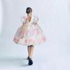 Girls' Dress  Puff Sleeve Princess Dress Children's Floral Dress Mesh Fluffy Dress