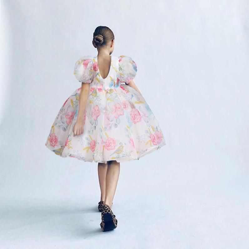 Girls' Dress  Puff Sleeve Princess Dress Children's Floral Dress Mesh Fluffy Dress