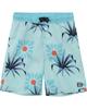 Billabong Kids Sunday Trunks CTL Swim Shorts