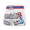 Muay Thai UFC Sanda Summer Training Boxing Shorts - MMA Fight Gear