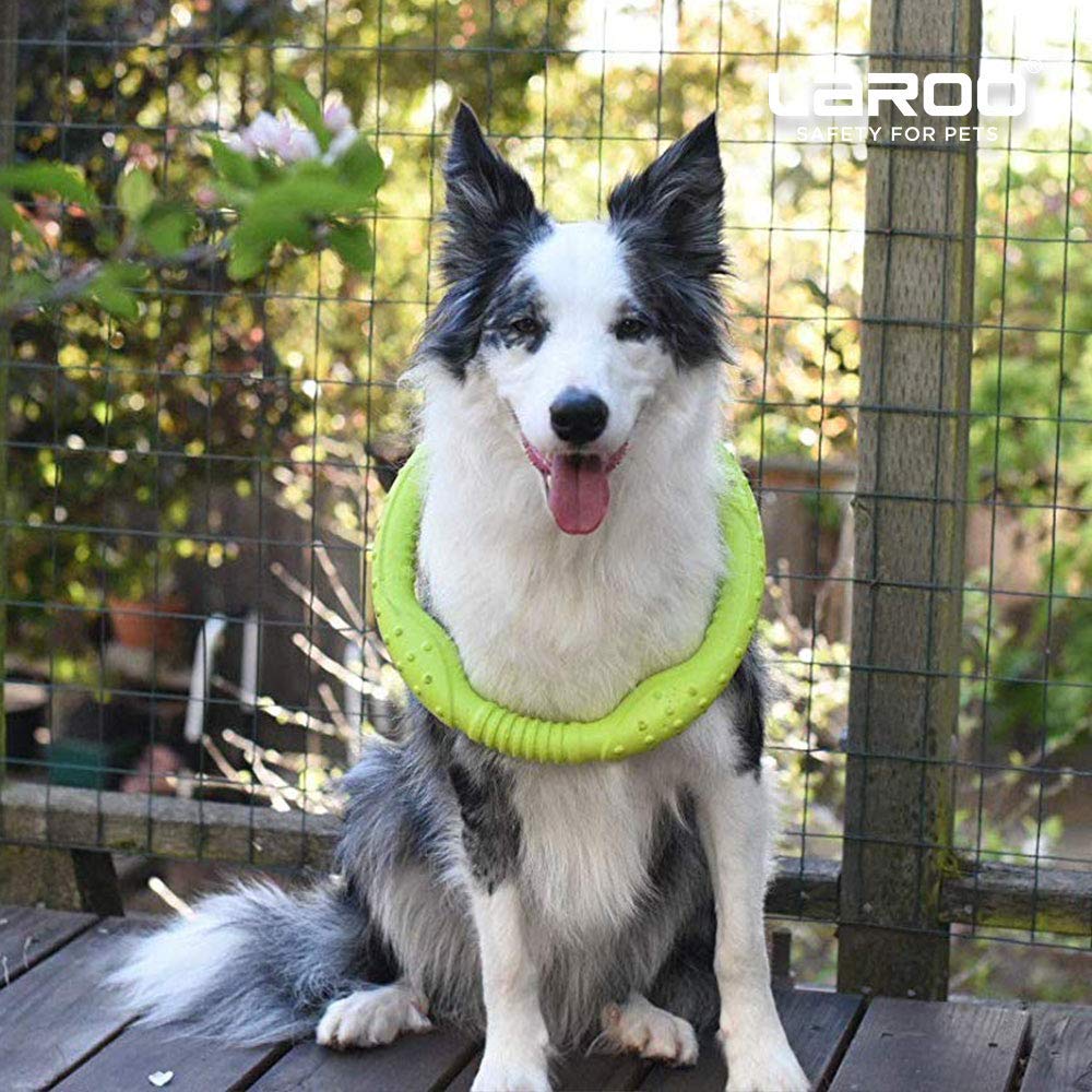 LaRoo Dog Dental Hračky pro velké psy Kulatý frisbee Odbourávání stresu pro psy Inteligence domácích mazlíčků Plovoucí tréninková hračka, Odolná, Trénink, Hračka. (30CM zelená)