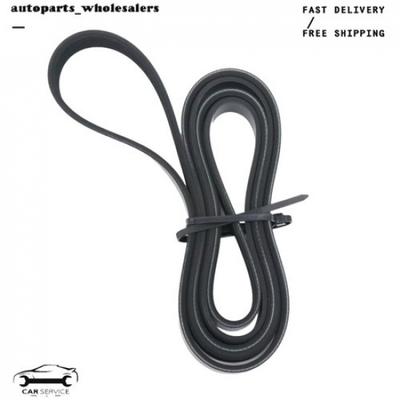 Motor – Correas de transmisión y correas dentadas