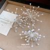 French Style Snowflake Earrings Personality Exaggerated Ear Studs  Special Occasions