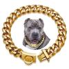 Köpek – Köpek Tasmaları ve Tasma Kayışları