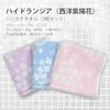Imabari Towel Certified Handkerchief 2525cm ToshinHydrangea Made Japan 100 Cotton Women Set 3