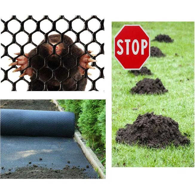 Plastic Mesh Grass Protection Mesh for Lawn or Car Park Reinforcement Green Plastic 10m 20m 30m 50m (Size : 1 * 20m)