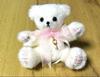 [USED] Limited-time Offer: White Stuffed Toy Teddy Bear Fiony White Pink Bear