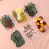 Dried Flowers Kit Real Natural Bulk DIY Handmade Everlasting Compressed Dried Flower Colorful Embossing Flowers Jewelry Supplies