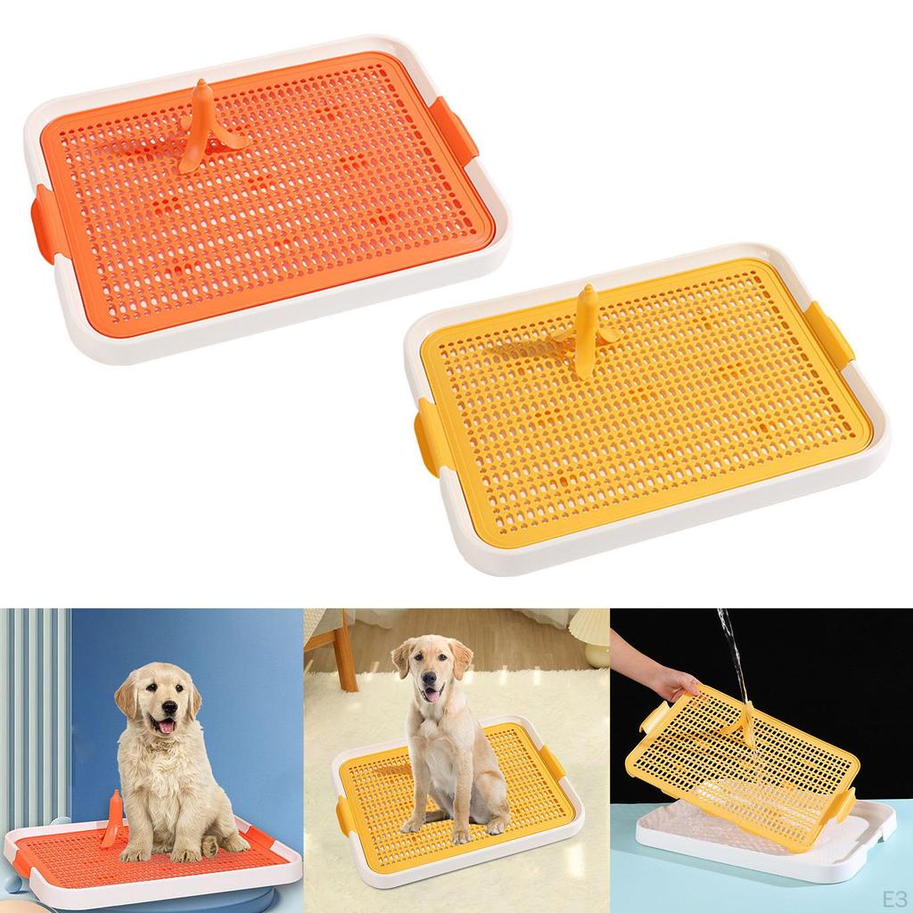 Trainingsschale für Hunde - Einfache und effektive Toilettenlösung