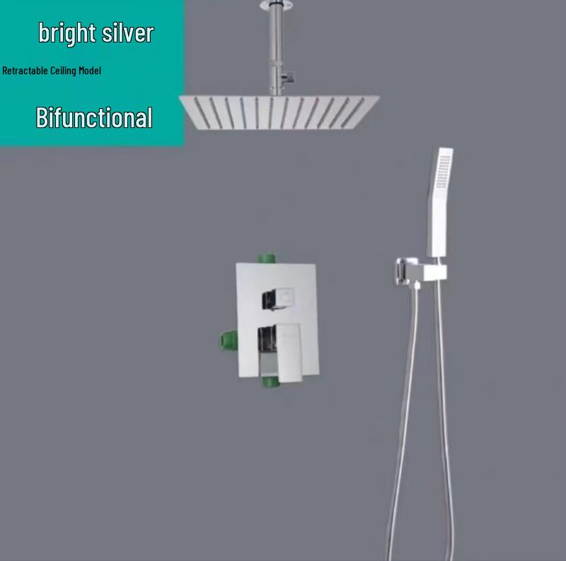 Shengbai Black Concealed Dual-Function Shower System