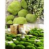 20 Pieces Assorted Sized Artificial Moss Rocks Decorative Faux Stones for Floral Arrangements Fairy Gardens Terrariums and Crafting