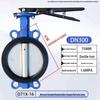 DN300 Manual Wafer Butterfly Valve