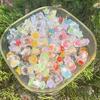 Ciondolo Scatola Conchiglia Conchiglia Trasparente Luminosa per Creazione Gioielli Charms Fai da Te Ornamento Decorazione Casa