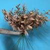 Ramo Artificial 130cm Folha de Oliveira Fruto de Oliveira Ramo de Oliveira para Buquês Florais Casamento Feriado Decoração de Verdura