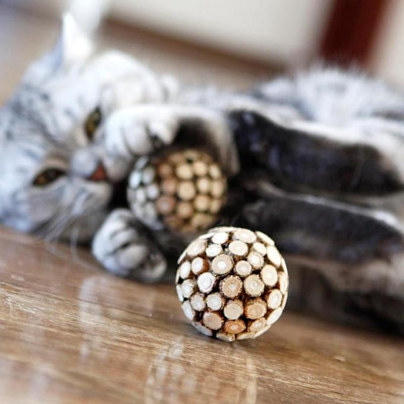 

Silvervine Ball Silvervine Stick Chew Combo New Cat Toys Teeth Cleaning Remove Tartar Fresh Breath Cats Kittens Teeth Supplies
