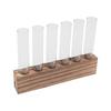 Glass Plant Propagation Station Plant Propagation Tubes Desktop Plant Terrarium With Wooden Stand