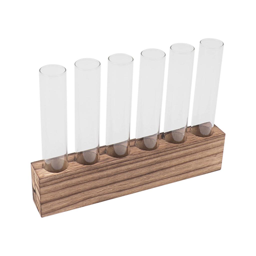 Glass Plant Propagation Station Plant Propagation Tubes Desktop Plant Terrarium With Wooden Stand