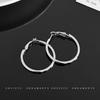 Women's High-End Plain Hoop Earrings: Light Luxury Ear Drops & Studs, Niche Design for Autumn/Winter.