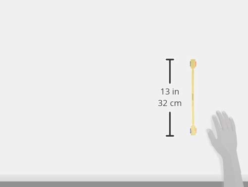 Hasegawa Chemical Industry (Hasegawa) Antibacterial Cutting Board Lifter (1 piece) LF20-300