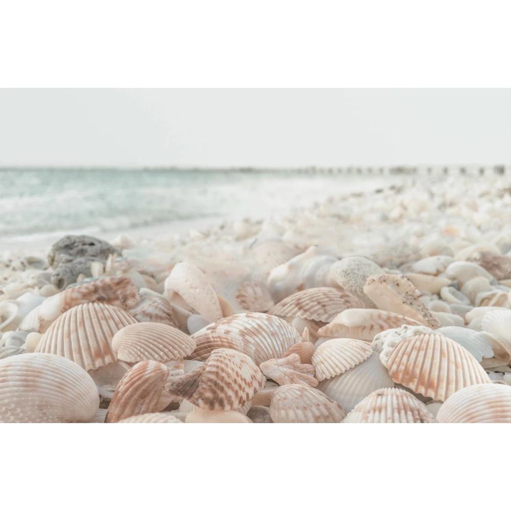

Seashell Beach Soft Blue Ocean Grass Minimal Coastal Poster Canvas Painting Print Neutral Wall Art Room Home Decor 21X30CMNo Framed