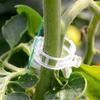 Agriculture Plant Fixing Clips Greenhouse Rattan Vines And Vegetables Fixing Unit Clamping Tools Plant Clips 50 Pcs