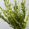 Mori-Stil Künstliche Blaue Schafgarbe - Einzelner Stiel Florale Kunst für Innen-Restaurantdekoration