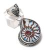 Ammonite Fossil Gemstone 925 Sterling Silver Jewelry Pendant 1.81"