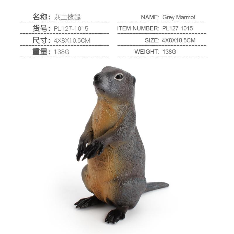 

Детская наука и образование познание луговой дикий белка животное модель симуляция твердый сурок коллекция орнамент игрушка