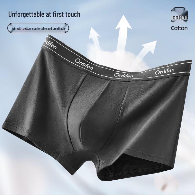 Audifen Men's 7A Antibacterial Mulberry Silk Crotch Seamless Cotton Boxer Briefs (4-Pack)
