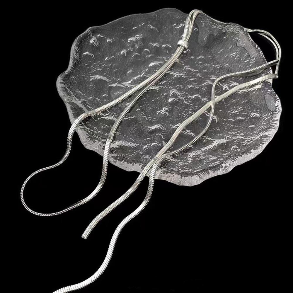 Minimalist style~ Super long pull necklace women's niche light luxury design advanced sense snake bone chain simple versatile neck chain