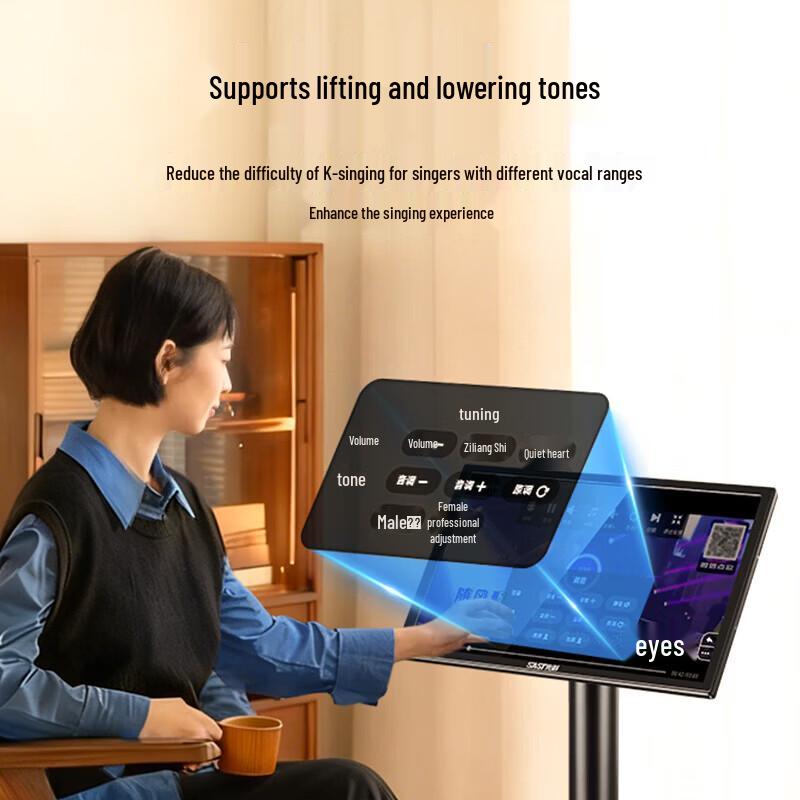SAST Professional 22-inch Smart KTV Karaoke System CN Plug (adapter Included)